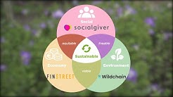 STEAM Platform Sustainability Business Features 2020: Start-ups Towards Sustainability