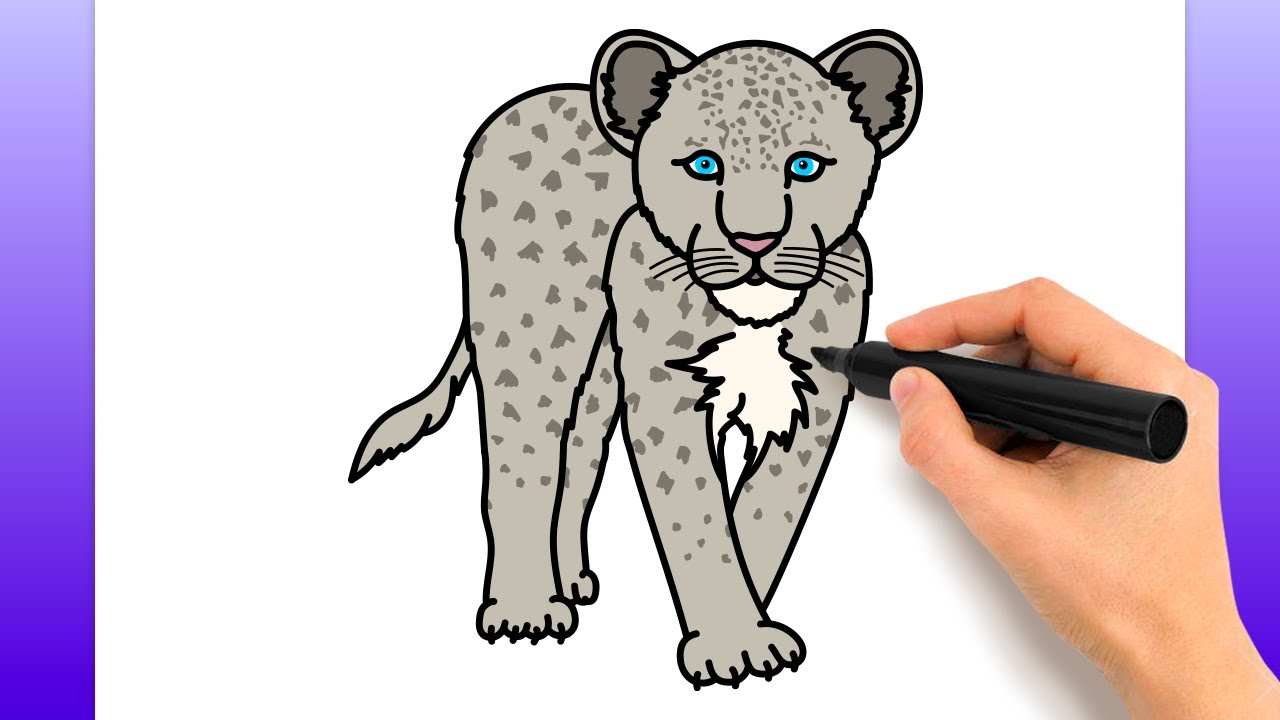 c-mo-dibujar-un-leopardo-de-nieve-tutorial-de-dibujo-f-cil-youtube