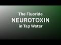 Fluoride & Brain Health: The Hidden Risks in Your Tap Water ⚠️