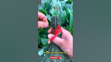 Bundle making with rope #shorts #git #knot #bundle #rope @DoiT_03