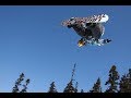 Extreme Snowboarding Edit Montage 2019 | Best Clips