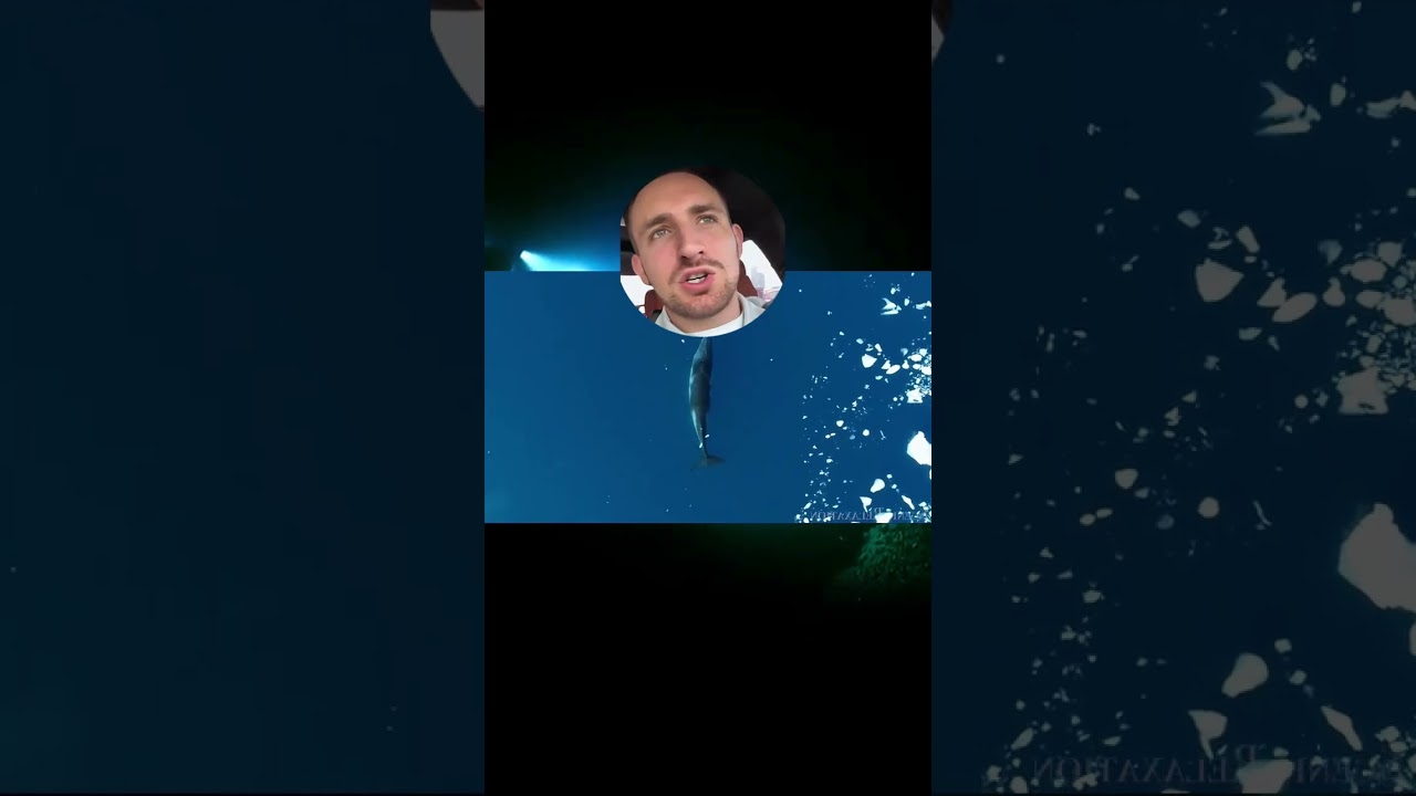 Невероятный сюрприз, снятый на камеру! 