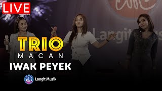 TRIO MACAN - IWAK PEYEK | LIVE PERFORMANCE | LET'S TALK MUSIC WITH TRIO MACAN | ALWAYS HD