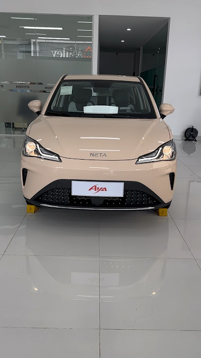 2024 Neta Aya Electric SUV #neta #aya #2024 #electriccar #car #subscribe