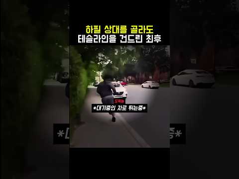 테슬라인의 물건을 건드린 도둑의 최후 thumbnail