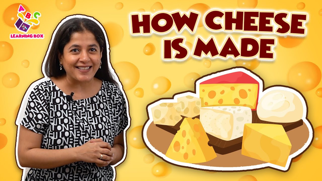 How Cheese Is Made Milk to Cheese Nursery Rhymes Preschool