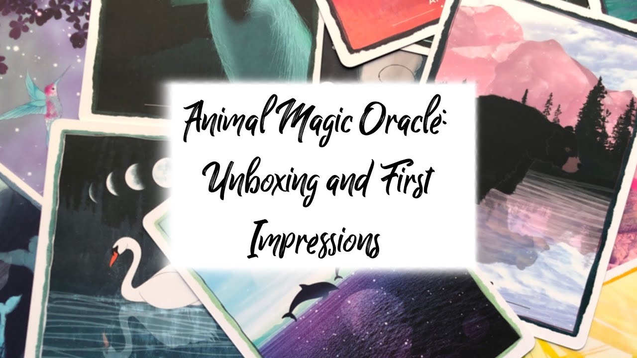 Animal Magic Oracle - Unboxing and First Impressions - YouTube