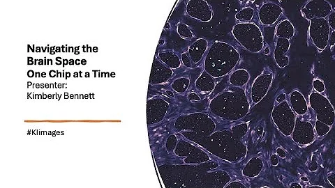 2025 Image Awards Lightning Talks- Navigating the Brain Space: