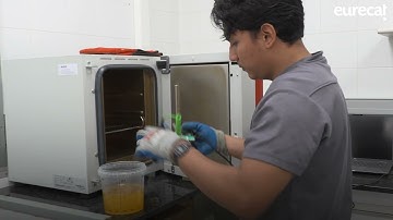 Future Materials: Manufacturing Bio-based Vitrimer Composites