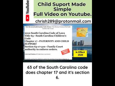 South Carolina child Support - Interesting Facts.  #shorts