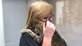 Cat missing for 11 YEARS reunited with owners!
