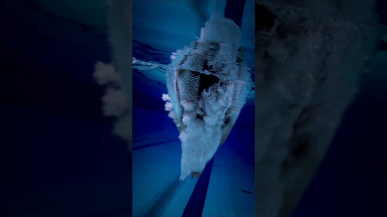 STAY FOCUS MODERN PENTATHLON, 2024