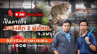 ปิดเมืองลพบุรี รอบ 2 จับลิงฝูงใหญ่ 10 วัน | ไลฟ์วันนี้ | 5 มิ.ย.67