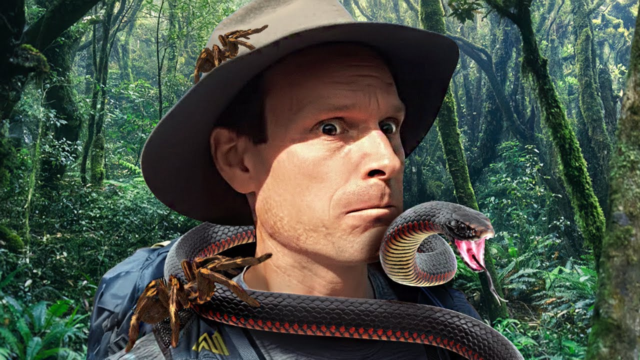 Дикая природа Австралии (советы для иностранных студентов)