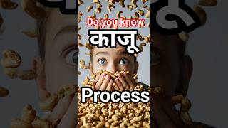 Goa Cashew Apple to Kaju & Wine ।। #shorts #viral #cashew #new #trendingshorts #facts #foodfacts