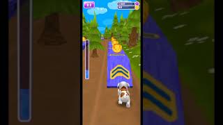 game-Dog run puppy racing screenshot 4