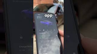 How To Add An Extra Control In The Tesla App! 😲😤