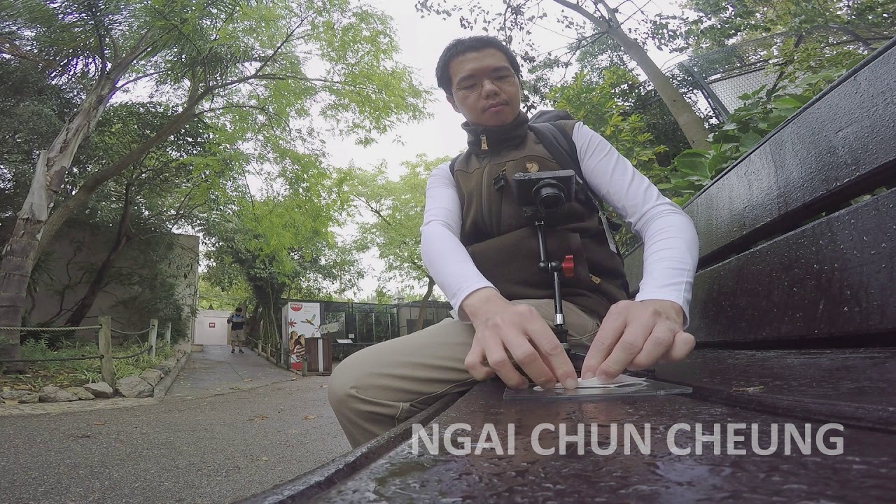 Origami Crane 08296 on 20171019 part 029 via Lisbon