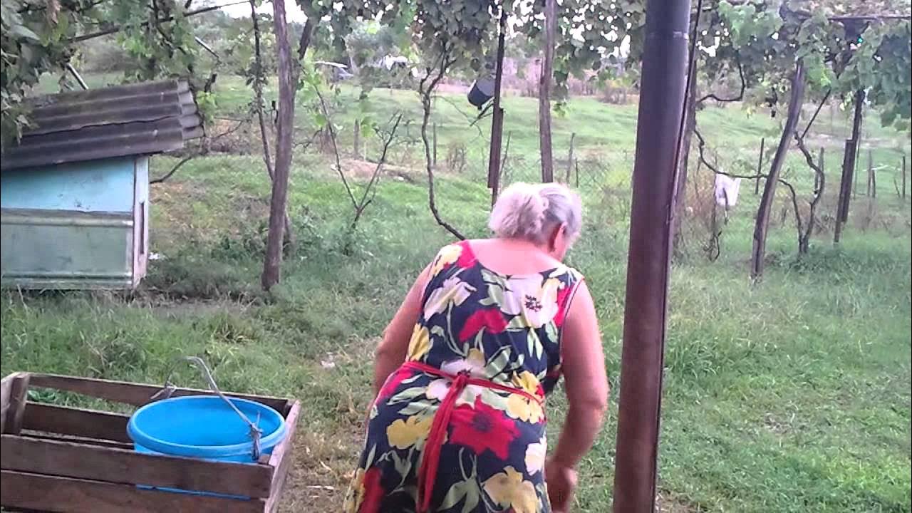 Абхазская виноградная водка - чача. Деревенское производство - YouTube