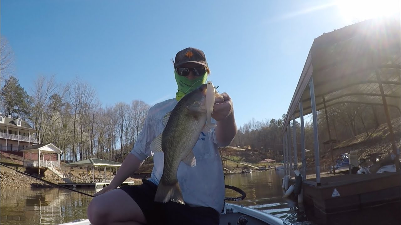 Spring Fishing at Lake Wedowee YouTube
