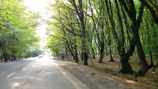 بداية سورة فاطر .. القارئ عبدالله المطرود