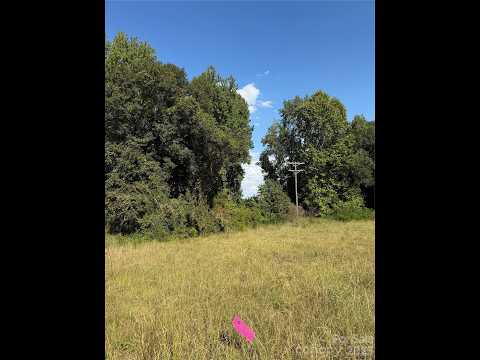 801 S Van Lingle Mungo Boulevard, Pageland, SC home video tour