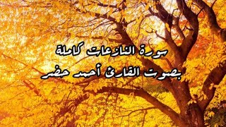 سورة النازعات كاملة | بصوت القارئ أحمد خضر  تلاوة تقشعر لها الأبدان