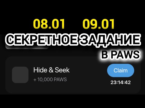 СЕКРЕТНОЕ ЗАДАНИЕ PAWS | MYSTERY QUEST как выполнить 8 января 9 января