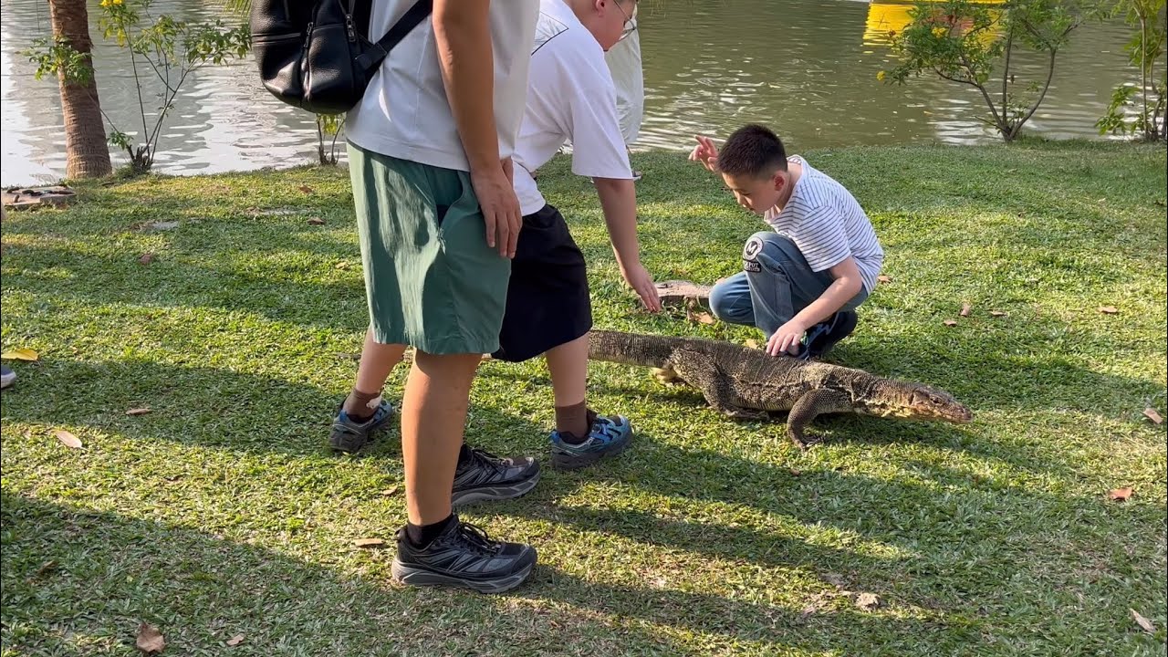 Lumphini Park Bangkok สวนลุมพินี 2026