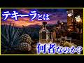【ゆっくり解説】1本作るのに10年!?「テキーラ」とは何者なのか?を解説/なぜ危険な酒だと思われる?アガベと人類が作り上げた奇跡の蒸留酒