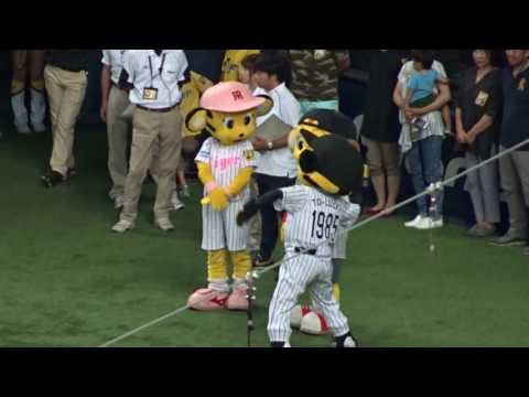 トラッキー、ラッキー、キー太の絡み