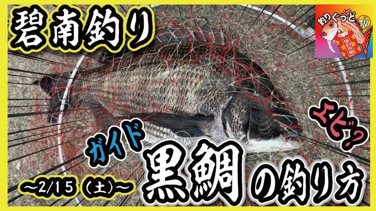 碧南釣り公園 45センチ黒鯛 黒鯛釣りの仕掛け 餌 ポイントとは Youtube 碧南釣り公園 45センチ黒鯛 黒鯛釣りの仕掛け 餌 ポイントとは Youtube