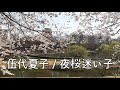 伍代夏子 20 / 夜桜迷い子(고다이나츠코/요자쿠라마이고)
