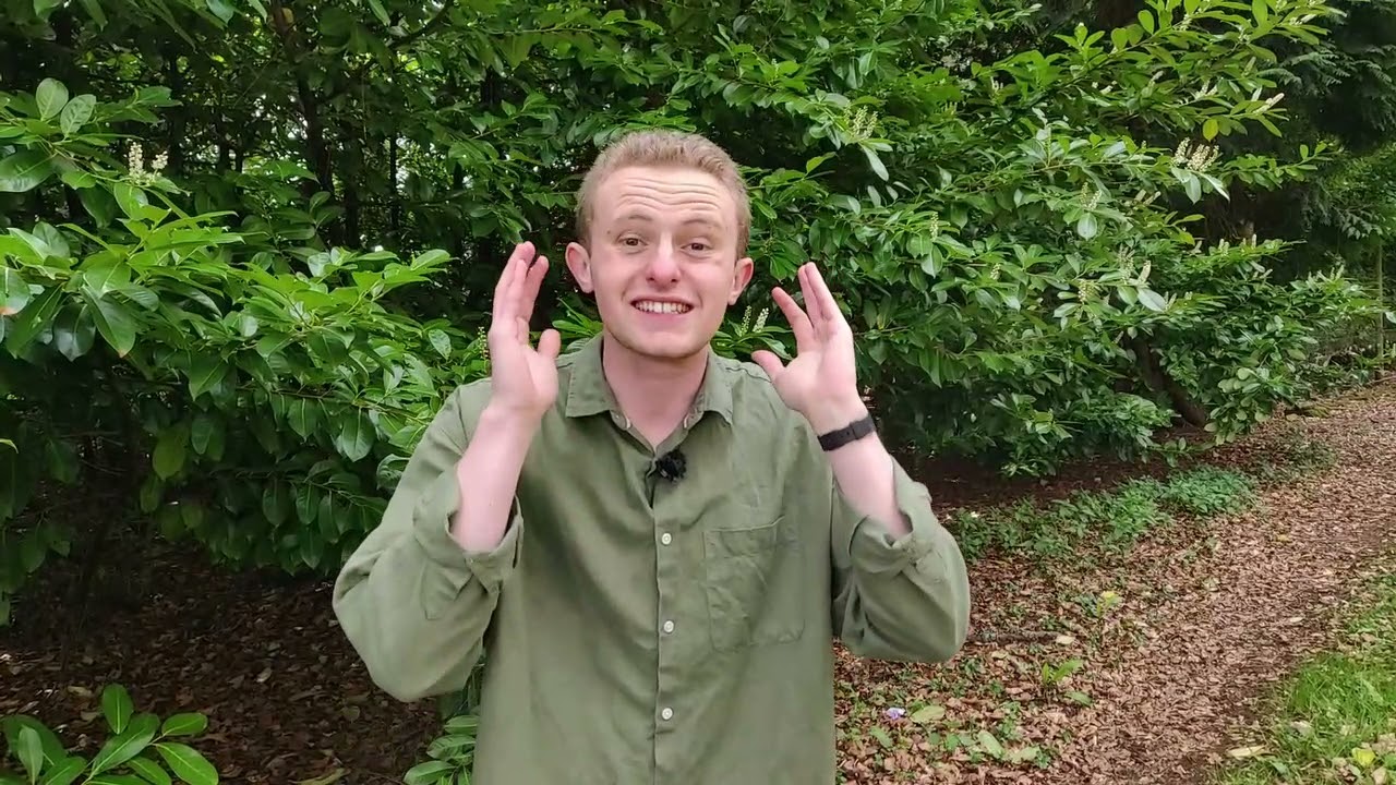 Wild Life - God is Holy