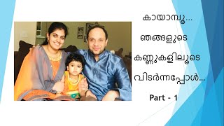 കായാമ്പൂ കണ്ണിൽ | രാഗ വിശകലനം | Ragas in Kayamboo Kannil Vidararum -- I