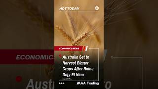 Australia Set to Harvest Bigger Crops After Rains Defy EI Nino #aaatrading #economicnewstoday