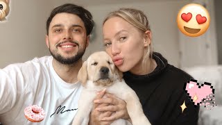 DAY IN THE LIFE VLOG | HOUSE & PUPPY UPDATES