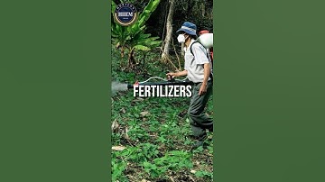 Fertilisers import Business #facts #hiiem #businessideas