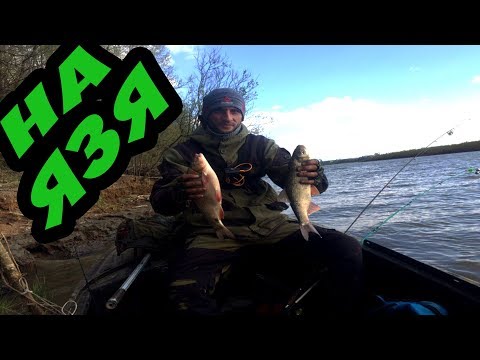 Рыбалка-экстрим! Нашли точку, которая выстрелила!