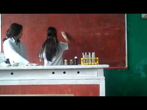 დავალება N. 1 ფოთის მე-8 საჯარო სკოლა