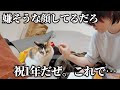 1年かけて築いた信頼は記念レバーで崩壊させた