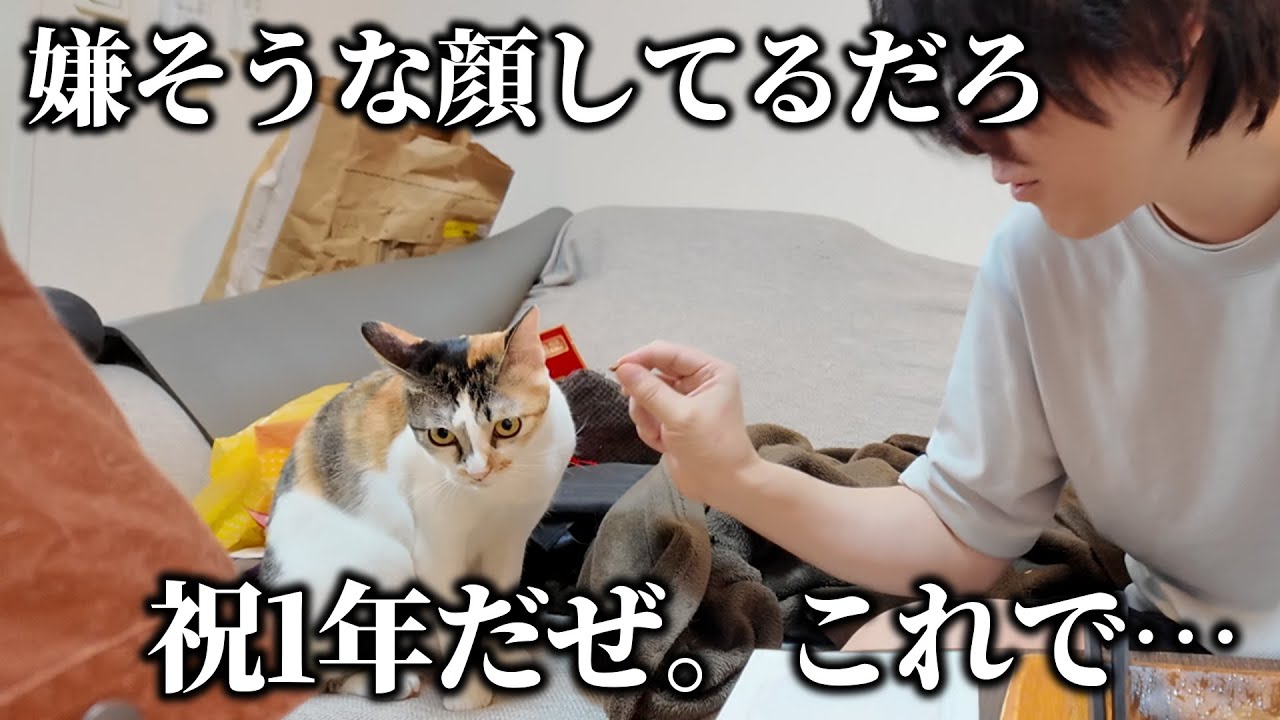 1年かけて築いた信頼は記念レバーで崩壊させた