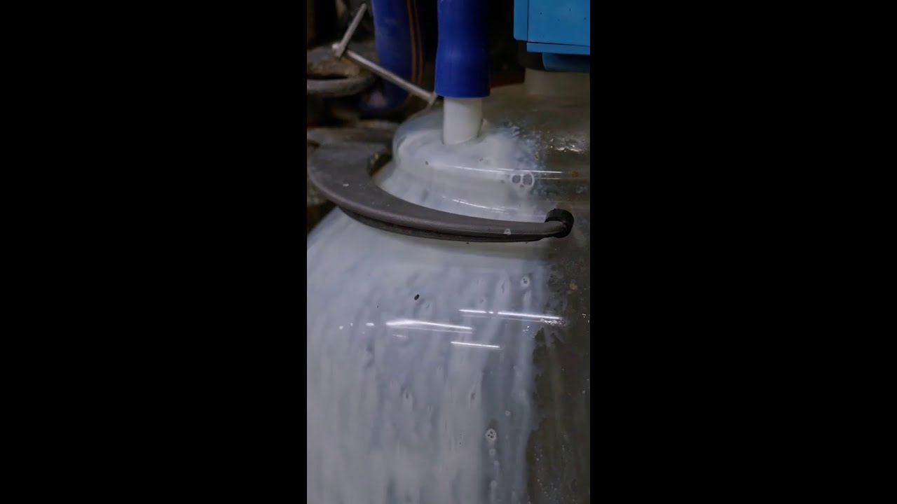 Dus zo wordt volle melk gemaakt 🤔 #HakkenOverDeSloot