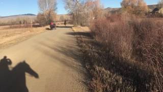 Ruby canters