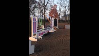 Bailey 17.1H Jump School