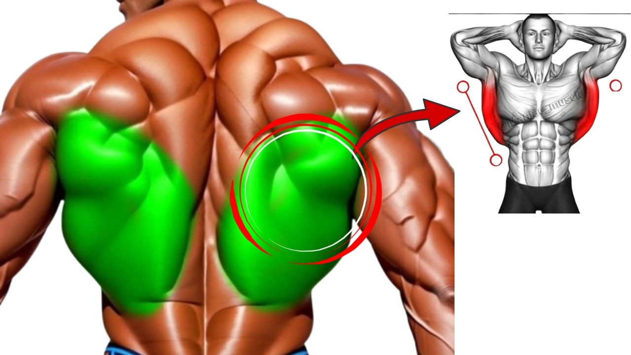 Effective Lower Lats Exercises Gym for Stronger Bigger Lats