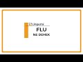 Flu Ne Demek? | İngilizce Flu Kelimesi Türkçe Anlamları ve Örnekleri | Seslendirme #nedemek