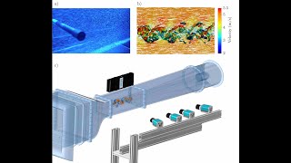 Coherent particle predictor in 4D-PTV