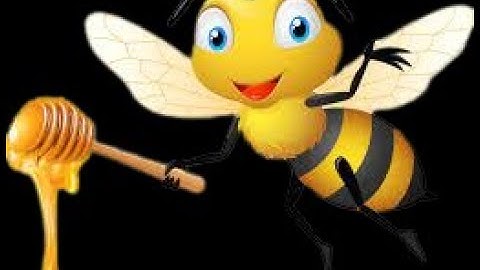 Nekta Management System 2022 Latest Release