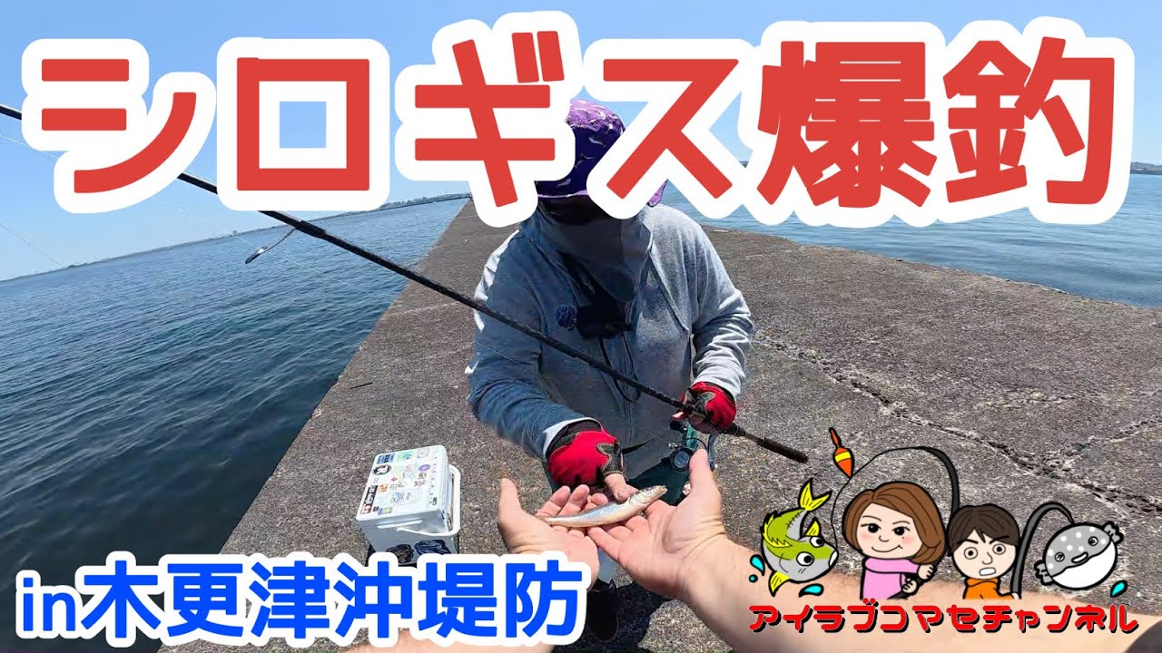 シロギス爆釣！Tちゃん大満足の沖堤防釣り！【千葉木内房・木更津沖